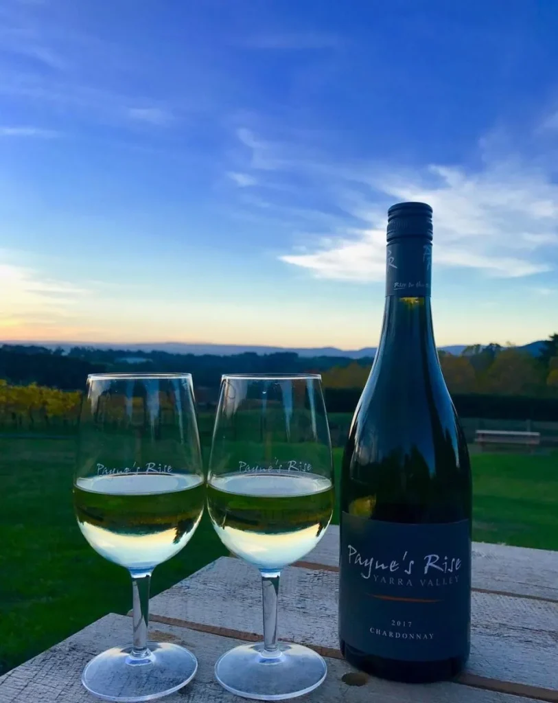Yarra Valley Chardonnays