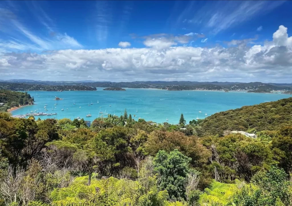 Great Ocean Road tour