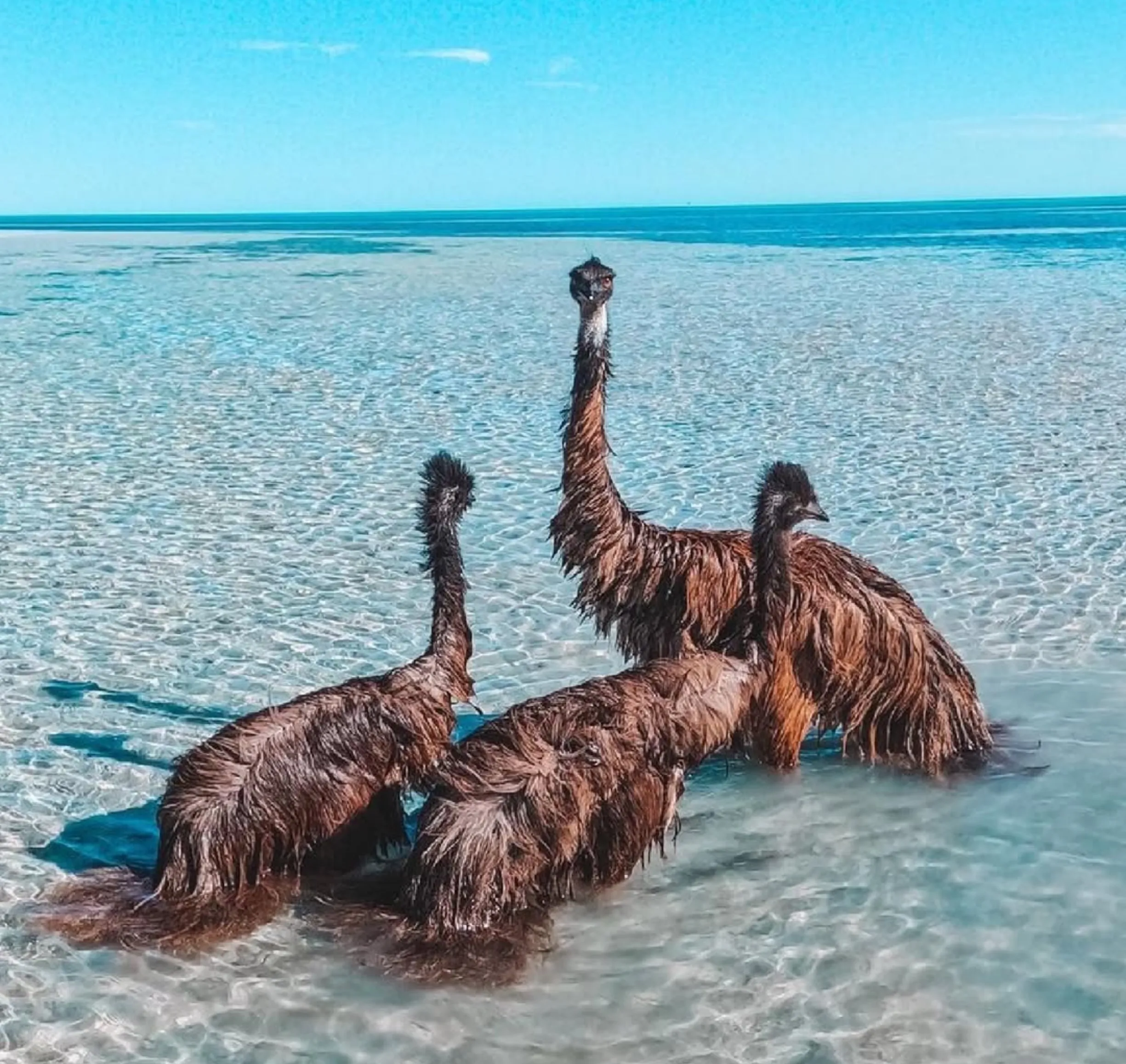 stunning views, Monkey Mia