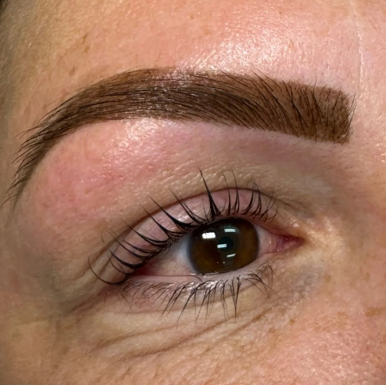 Top Eyebrow Dyes