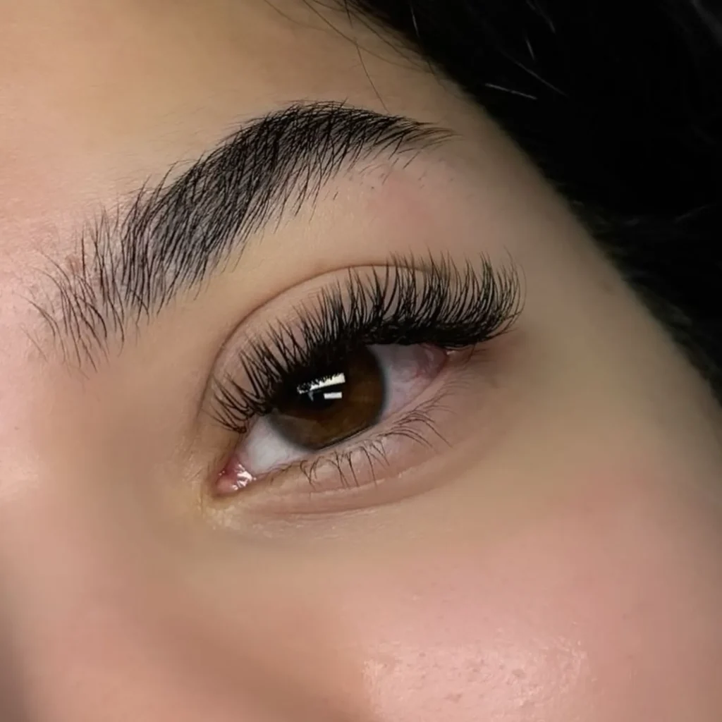 lash lamination Brisbane