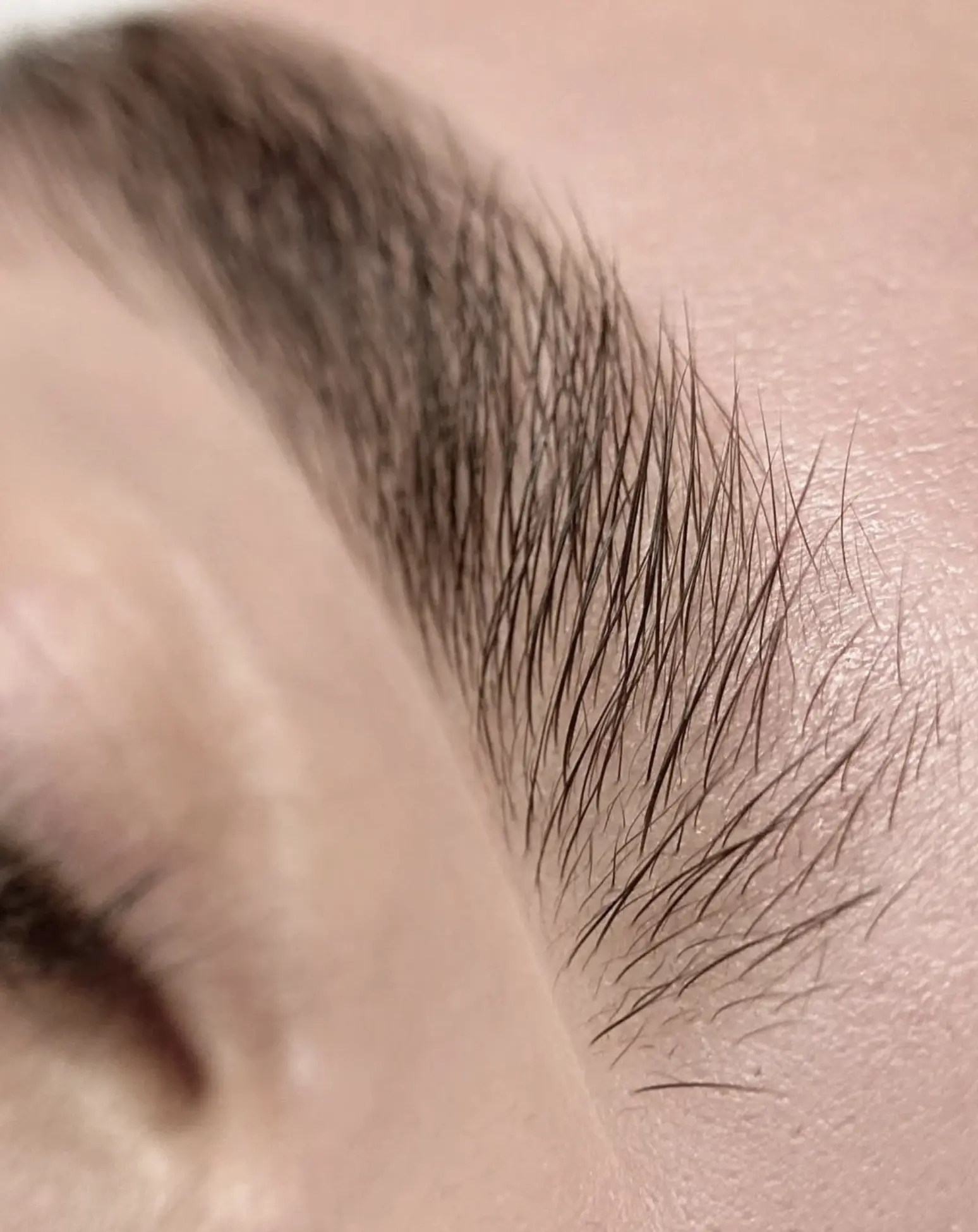 Brow tattoo touch-up Brisbane