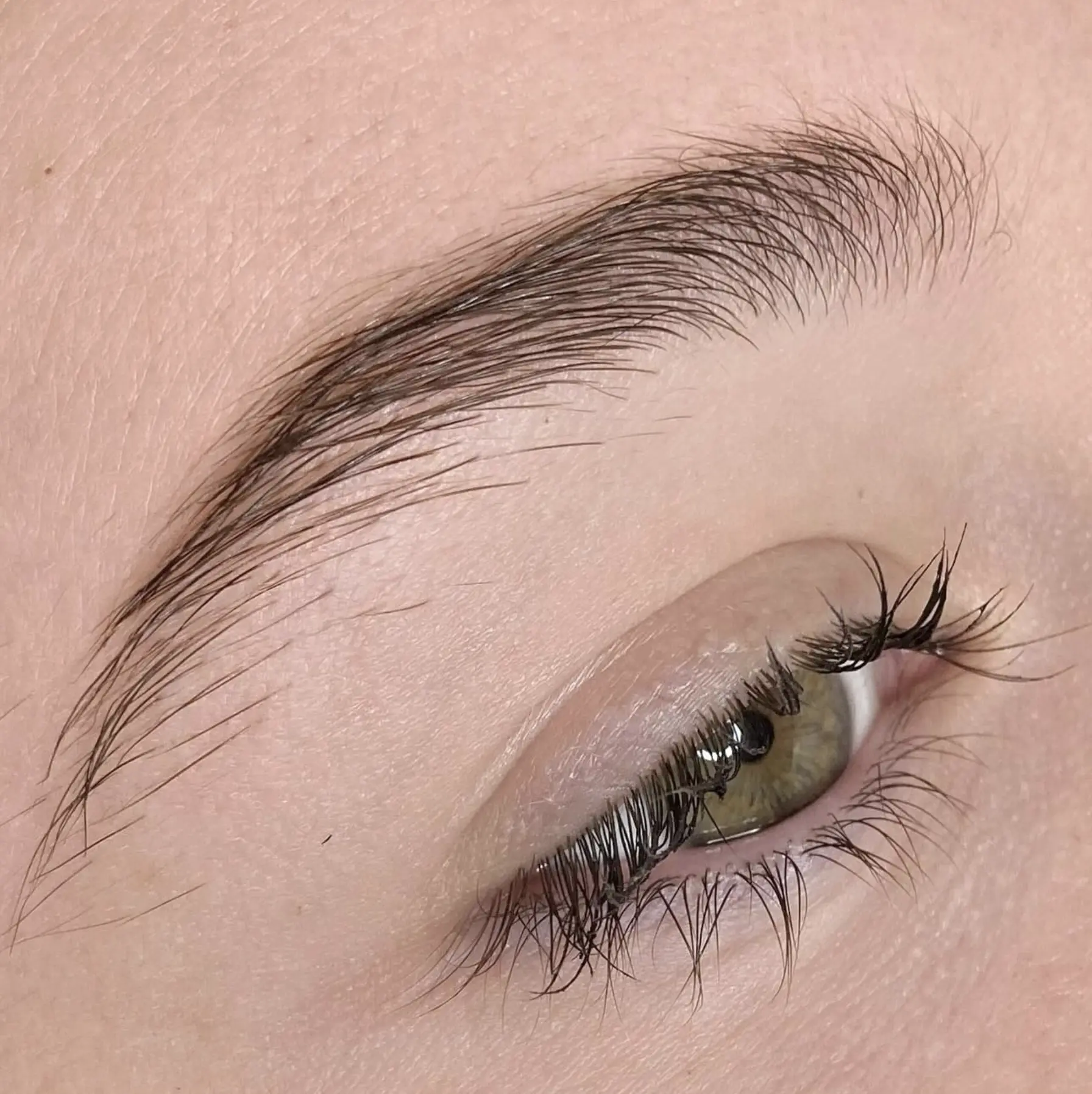Powder brow touch-up timeline